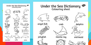 You can also browse individual sheets on our website with the links below. Under The Sea Dictionary Colouring Sheet Teacher Made