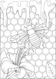 Simply do online coloring for bumble bee collecting flower coloring pages directly from your gadget, support for ipad. Bee And Honey Butterflies Insects Adult Coloring Pages