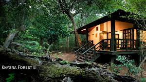 The forest, rivers, estuary, and ocean surrounding the town are dotted with hiking trails and plenty of opportunities for outdoor activities. World S Awesome Place Knysna Forest South Africa Youtube