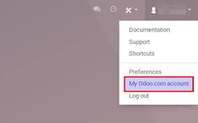 How To Use My Own Domain Name Odoo 14 0 Documentation