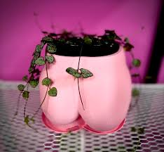 Profile for Plant Parenthood LLC