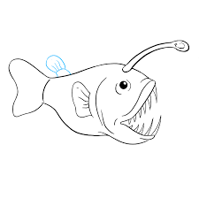Simply do online coloring for angry angler fish coloring pages directly from your gadget, support for ipad, android tab or using our web feature. How To Draw An Angler Fish Really Easy Drawing Tutorial