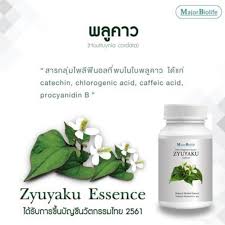 Maybe you would like to learn more about one of these? à¸‹ à¸¢à¸¢à¸²à¸ à¹à¸„à¸›à¸‹ à¸¥ Zyuyaku Capsules Khampo Com