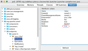 Write a some instructions for camel, and it will use a bunch of other components the answer is to use pojos for your request and response types. Chapter 16 Management And Monitoring Camel In Action