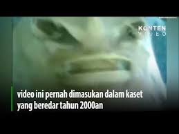 Seram kutukan anak durhaka tahun 2000 an, dikutuk jadi ikan pari. Durhaka Ikan Pari Lagu Mp3 Mp3 Dragon