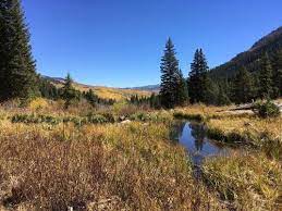 If you are the kind of traveler who is simply not satisfied with plains and forests, and you want to feel the thrill of danger and unexplored areas, then the black canyon of the. Gunnison National Forest Colorado Beliebte Routen Alltrails