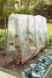 Garden Design Vegetable V 2020 G Vertikalnye Ogorody Sadovye Idei Sadovye Konstrukcii