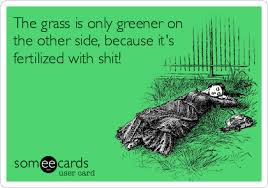 Image result for the grass is greener