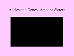 Multiple alleles all traits discussed so far have been controlled by a single pair of alleles. The Work Of Gregor Mendel Ppt Download