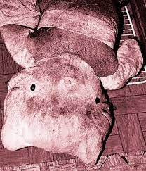La musica è un qualcosa che ci accompagna durante la nostre vita. Dra Plague O Caso Hello Kitty Dra Plague Asylum Facebook