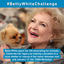 Beloved actress Betty White's most celebrated role? In our eyes, it's  animal welfare advocate. To celebrate her 100th birthday, fans have created  the #BettyWhiteChallenge, encouraging donations to animal shelters and  rescues in