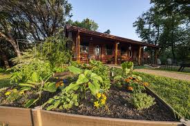 In pigeon forge, we have something for every member of your family, including the furry ones. Chalet Pet Friendly Cabin 4 15 Minutes From Magnolia And Baylor Waco Tx Booking Com