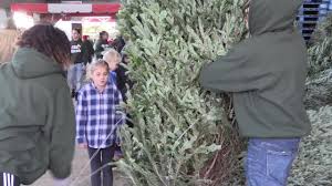 Surrounded by thousands of fragrant balsams and fraser firs — the only two types stew leonard's sells — he's readying for the biggest weekend of the year. Video Christmas Tree Shopping At Stew Leonard S In Yonkers