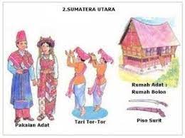 34 Provinsi Rumah Adat Pakaian Adat Tarian Tradisional Senjata Tradisional Lagu Daerah Suku Dan Julukan Di Indonesia Pakaian Tari Gambar Tarian Kartun