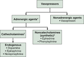 Image result for Vasopressor