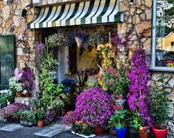 My Lovely Life Flower Shop Outdoor Gardens Floral Shop
