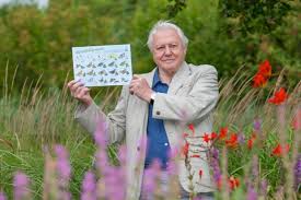 Attenborough Is Asking For Your Help Discover Wildlife