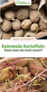 Pin Auf Gartenfreunde