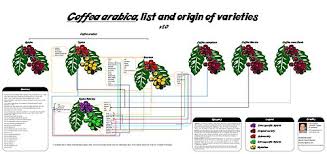 List Of Coffee Varieties Wikipedia