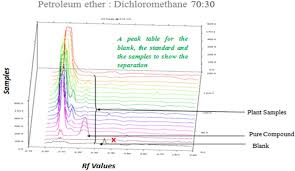 Image result for Kotschya uguenensis