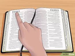 So the fire of the lord burned among them, and consumed some in the outskirts of the camp. How To Look Up A Bible Verse Wikihow