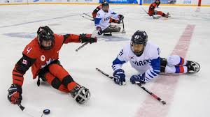 National hockey league american hockey league canadian hockey league. Para Ice Hockey About The Sport International Paralympic Committee