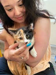 RuPaw is not pleased with watching Greys Anatomy, she says it needs more  cats.