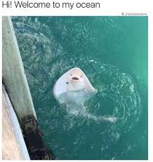 No signup or install needed. Pin On Makeupkit