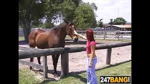 In love - XNXX.COM