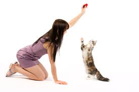 A clicker is a handheld tool that makes a clicking. Effective Cat Clicker Training Lovetoknow