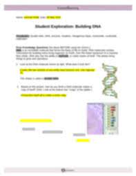 Which nitrogen bases are needed to complete the dna strand pictured below? Thebest Hot News Building Dna Gizmo Answers Page 3 Gizmos Student Exploration Building Dna Answer Key My Pdf Collection 2021 An Answering Provider Unlike An Automatic Answering Machine Along With A