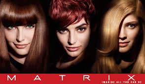 The average salary for a hair stylist is $7.25 per hour in king of prussia, pa. In Style Hair Salon Inc Home Facebook