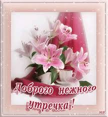 открытки с добрым утром на любой день недели бесплатно скачать Https Encrypted Tbn0 Gstatic Com Images Q Tbn 3aand9gcqrfakhmdjhix7ydghtiyjvirdpgvl0mqng G Usqp Cau