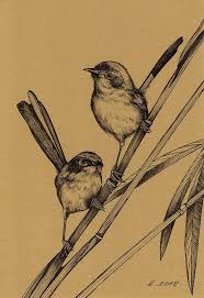 Bird On Tree Drawing Graphics Drawing Birds Tree Branches Bamboo Original Art Quick Sketch Drawing Pen Black Pen Bird Drawings Drawings Quick Sketch