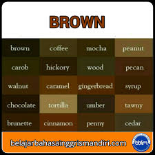 We did not find results for: Daftar Nama Warna Dan Gradasi Warna Dalam Bahasa Inggris Belajar Bahasa Inggris Mandiri
