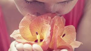 Image result for images A Pleasing Aroma To God