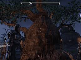 With practise you will get better. The Elder Scrolls Online Walkthrough Ebonheart Restoring Order Levelskip