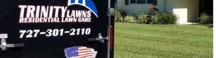Maybe you would like to learn more about one of these? Trinity Lawn Care Llc Seminole Fl Alignable