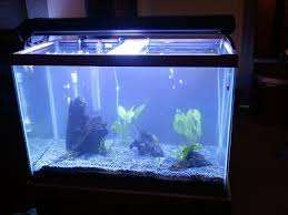 Setting Up A New Aquarium Do You Have Questions About How To Do It Safely For Your Fish Visit Www Aquaticconnect Com Utm Con Aquarium Aquascape Fresh Water