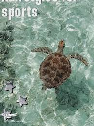 preppy hair sporty styles #summer🌴🌊 #soccer⚽️ #⚡️🌴🌊