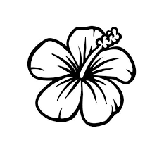 Simple Hibiscus Hibiscus Drawing Hawaiian Flower Drawing Easy Flower Drawings