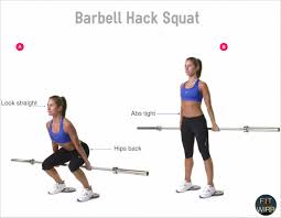 Squat 101 How To Perform A Hack Squat Front Squat And Plie Squats Correctly Bestdeadliftform Bar Workout Barbell Hack Squat Weights Workout