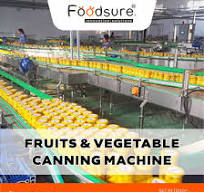 Fruits and Vegetable Canning Machine