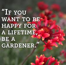 Gardening Can Give Oneself So Much Joy And Happiness Garden Quotes Gardening Humor Garden Works