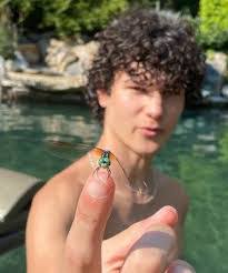 Shirley Stenberg's Instagram, Twitter & Facebook