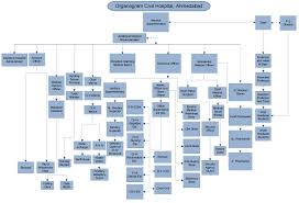34 Particular Walden University Organizational Chart
