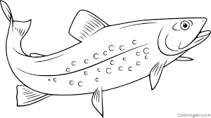 The actual color of salmon flesh varies from almost white to light orange, depending on their levels of the carotenoid astaxanthin due to how rich a diet of krill and shrimp the. Trout Coloring Pages Coloringall