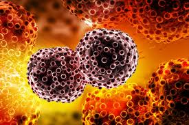 How to get better at search engine optimization. Is The Developed World We Ve Created Giving Us Cancer