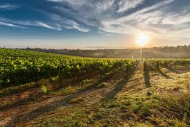 An introduction to the different wines produced in the veneto's valpolicella wine region. Wine Quiz Which Barossa Winery Is Famous For Its Clock Tower The Real Review