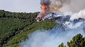 Incendio monte pisano, ancora fiamme: Monte Serra Passeggiate Mostre E Concerti A Un Anno Dall Incendio La Repubblica